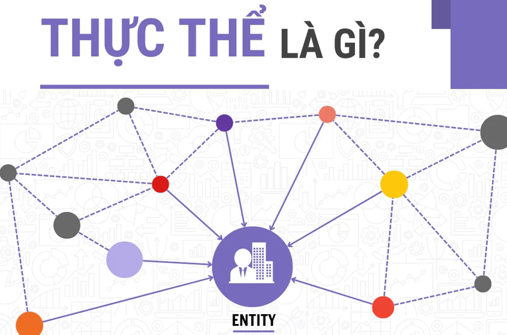 Thực thể là gì?